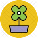 Foglia Di Quercia Ortensia Fiore Icon