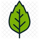 Betulla Natura Foglia Icon