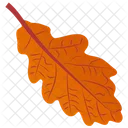 Foglia Di Quercia Foglia Foglia Dautunno Icon