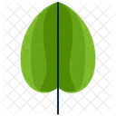 Rotondo Verde Foglia Icon