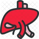 Foie Desintoxication Hepatologie Icon