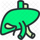 Foie Desintoxication Hepatologie Icon