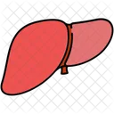 Foie Corps Organe Icon