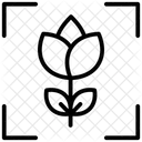 Ziel Fadenkreuz Fokus Symbol