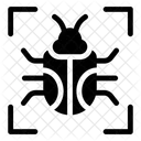 Malware Insekt Focus Bug Symbol