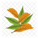 Folha Natureza Planta Icon