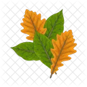 Folha Natureza Planta Icon