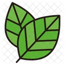 Natureza Planta Verde Icon