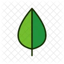 Folha Folha Verde Vegetacao Icon