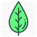 Folha Floral Planta Icon