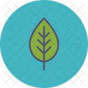 Folha Primavera Planta Icon