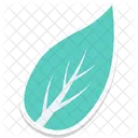 Folha Vegetacao Folhagem Icon
