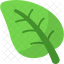 Folha Ecologia Natureza Ícone
