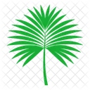 Folha De Palmeira Natureza Tropical Ícone