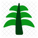 Planta Natureza Historia Ícone