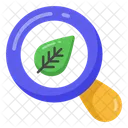 Pesquisa De Folhas Pesquisa Ecologica Analise De Folhas Ícone