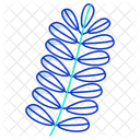 Folha de tamarindo  Ícone