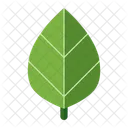 Folha Ecologica Ecologia Meio Ambiente Ícone