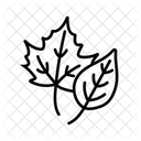Folhas de outono  Ícone