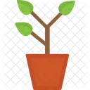 Folhas planta  Ícone