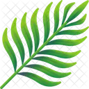 Folhas Tropicais Folhas Meio Ambiente Ícone