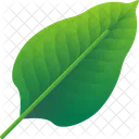Folhas Tropicais Folhas Meio Ambiente Ícone