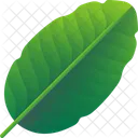 Folhas Tropicais Folhas Meio Ambiente Ícone