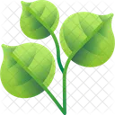 Folhas Tropicais Folhas Meio Ambiente Ícone