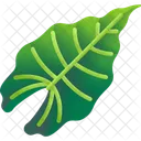 Folhas Tropicais Folhas Meio Ambiente Ícone