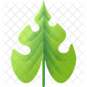 Folhas Tropicais Folhas Meio Ambiente Ícone