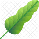 Folhas Tropicais Folhas Meio Ambiente Ícone