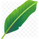 Folhas Tropicais Folhas Meio Ambiente Ícone