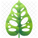 Folhas Tropicais Folhas Meio Ambiente Ícone