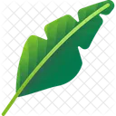 Folhas Tropicais Folhas Meio Ambiente Ícone
