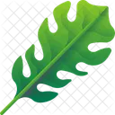 Folhas Tropicais Folhas Meio Ambiente Ícone