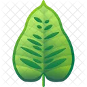Folhas Tropicais Folhas Meio Ambiente Ícone