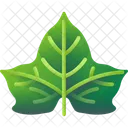 Folhas Tropicais Folhas Meio Ambiente Ícone