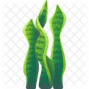 Folhas Tropicais Folhas Meio Ambiente Ícone
