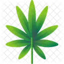 Folhas Tropicais Folhas Meio Ambiente Ícone