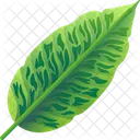 Folhas Tropicais Folhas Meio Ambiente Ícone