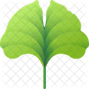 Folhas Tropicais Folhas Meio Ambiente Ícone