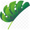Folhas Tropicais Folhas Meio Ambiente Ícone
