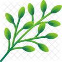 Folhas Tropicais Folhas Meio Ambiente Ícone