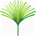 Folhas Tropicais Folhas Meio Ambiente Ícone
