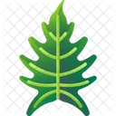 Folhas Tropicais Folhas Meio Ambiente Ícone
