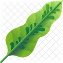 Folhas Tropicais Folhas Meio Ambiente Ícone