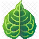 Folhas Tropicais Folhas Meio Ambiente Ícone
