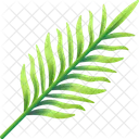 Folhas Tropicais Folhas Meio Ambiente Ícone