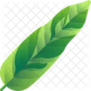 Folhas Tropicais Folhas Meio Ambiente Ícone