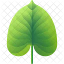 Folhas Tropicais Folhas Meio Ambiente Ícone